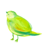 鳥